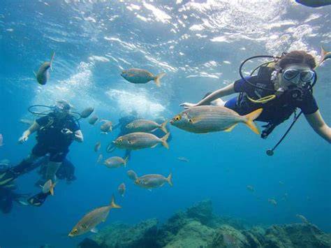 Beginner Scuba Experience