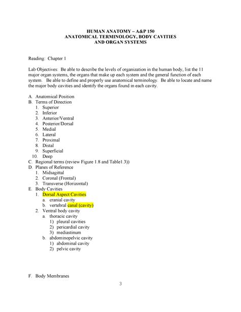 Beginner-Friendly Lab Outlines