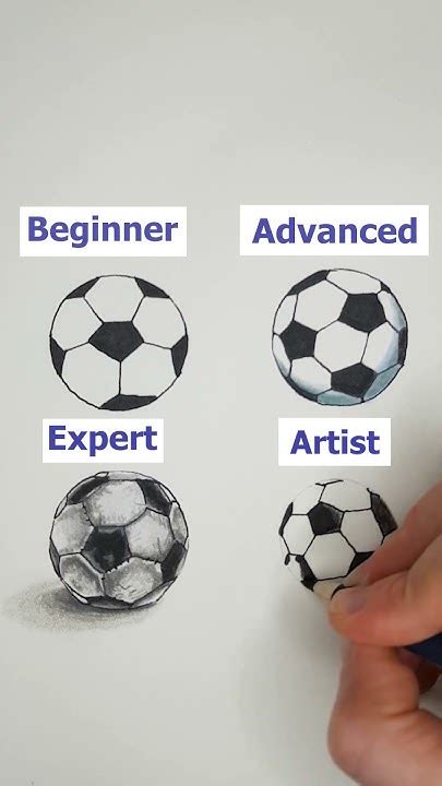 Beginner-Friendly Sheets vs. Advanced Line Art