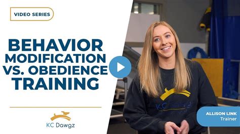 Behavior Specialist vs. Obedience Trainer
