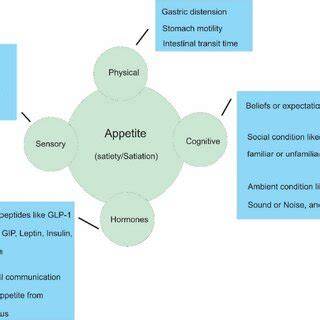 Behavioral and Environmental Factors Affecting Appetite