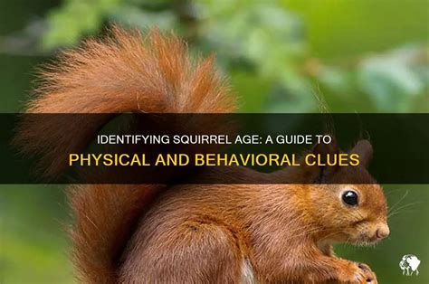 Behavioral and Physical Clues