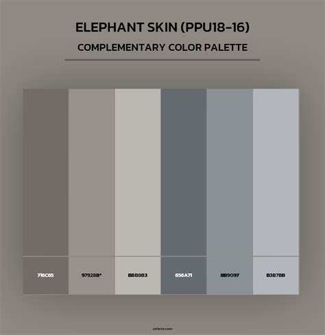 Unleash Your Inner Designer with Behr's Elephant Skin Coordinating Colors: A Chic and Sophisticated Palette