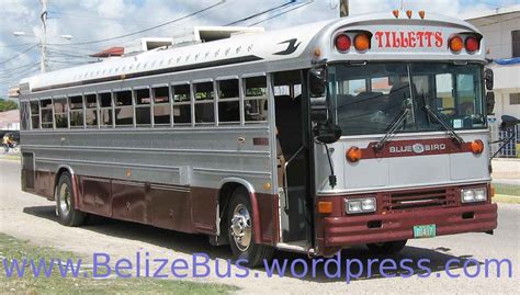Belize Bus