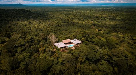 Belize Jungle Canopy