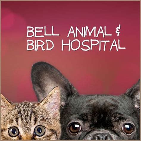 Expert Animal and Bird Care at Bell Animal and Bird Hospital - Your One-Stop Shop for Veterinary Services