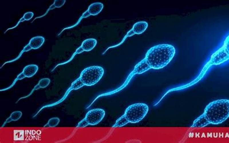 Benarkah Sperma Bisa Menyembuhkan Jerawat?