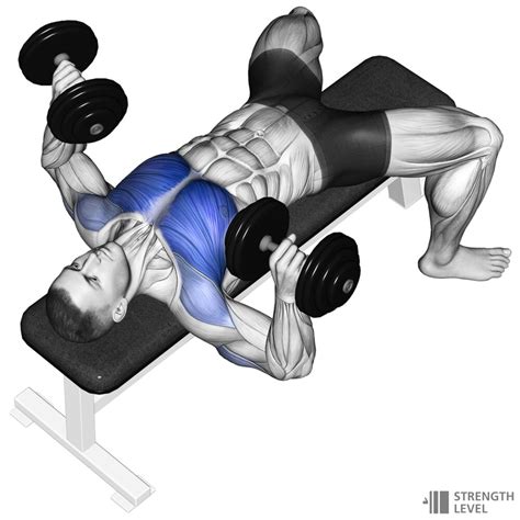 Bench Dumbbell Press