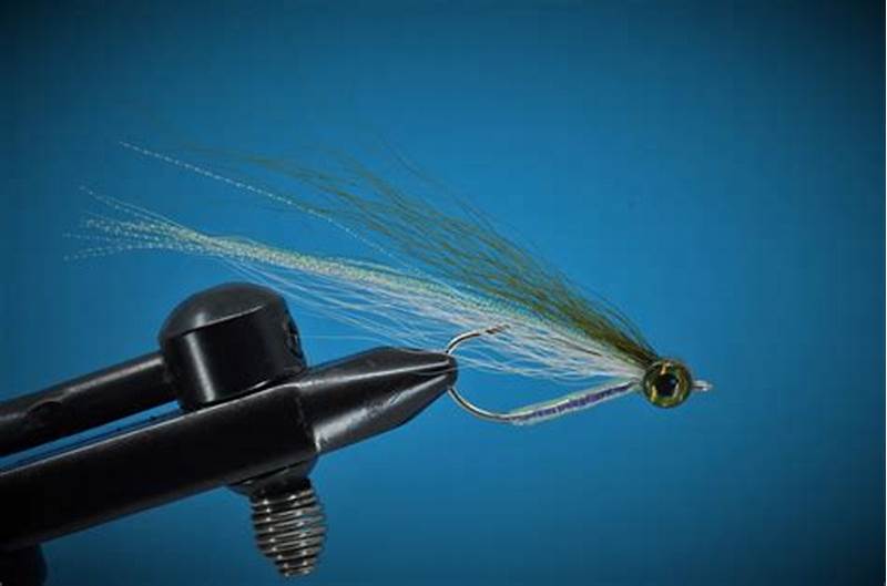 Bendback Fly Pattern