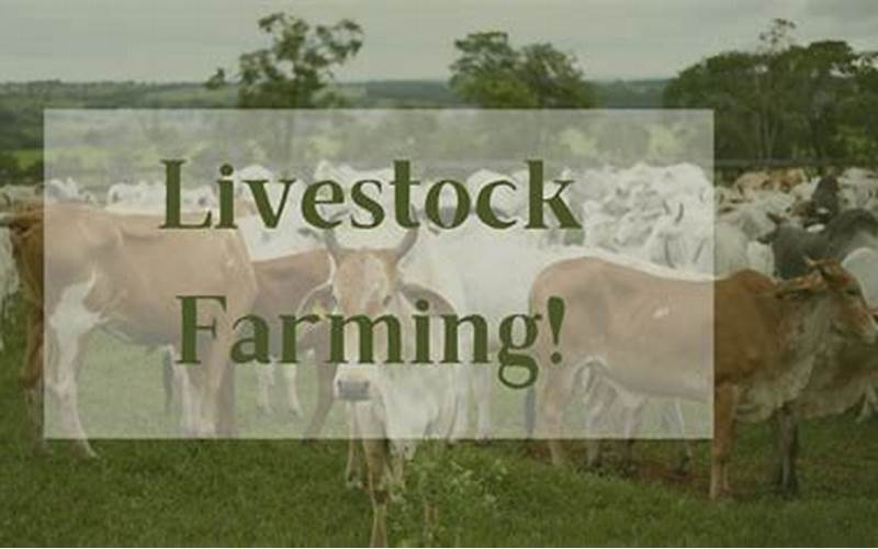 Benefits Of Biology In Livestock Farming
