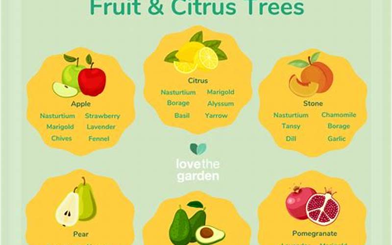 Benefits Of Companion Planting With Fruit Trees