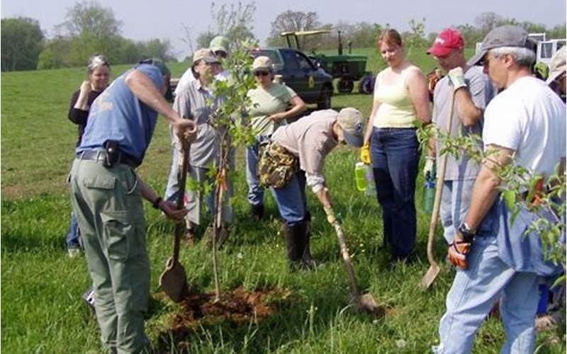 Benefits Of Environmental Group Planting Program