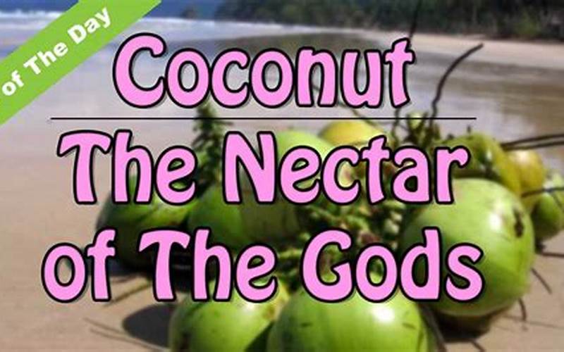 Benefits Of Nectar Of The Gods