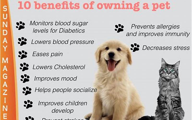Benefits Of Owning A Pet