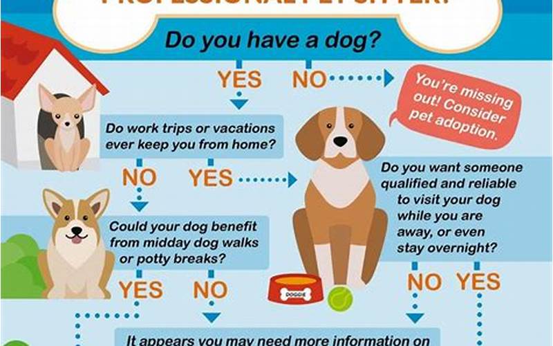 Benefits Of Pet Sitting