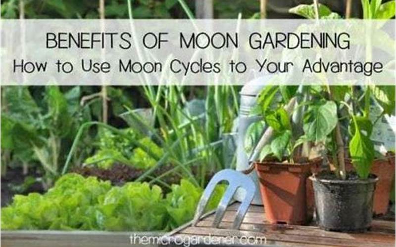 Benefits Of Planting By The Moon