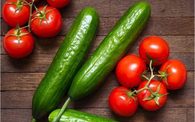 Benefits Of Planting Cucumbers With Tomatoes