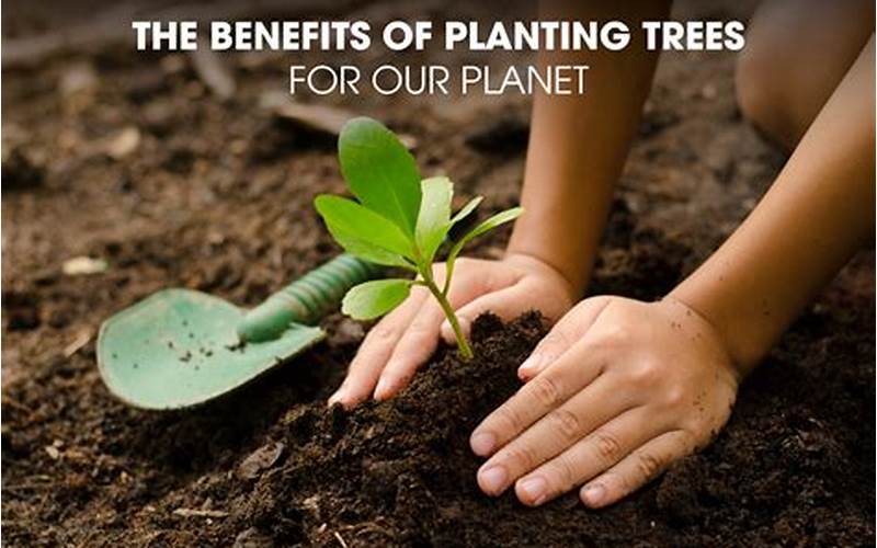 Benefits Of Planting Trees For The Environment