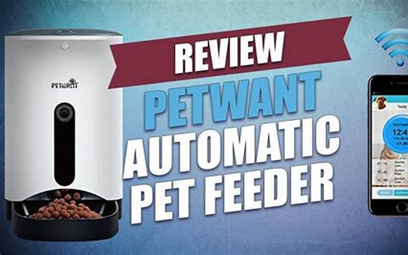 Benefits Of Using Petwant Automatic Pet Feeder