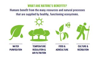 Benefits of Using Nature Wallpapers