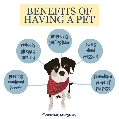 Benefits for the Dogs