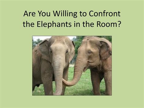 Benefits of Confronting the Elephant in the Room