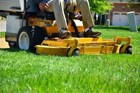 Benefits of Hiring Professional Lawn Care Services