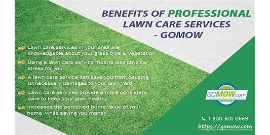 Benefits of Lawn Care Services