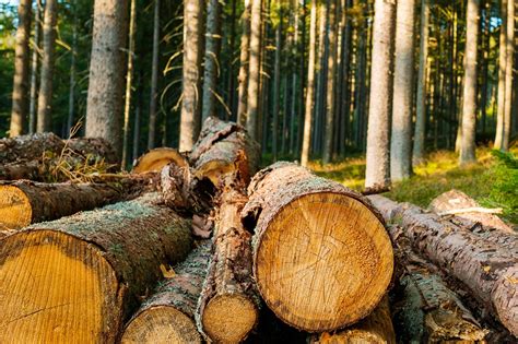 Benefits of Logging In