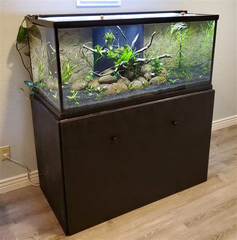 Benefits of Owning a 100 Gallon Fish Tank with Stand