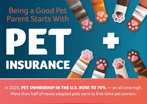 Benefits of Pet Insurance