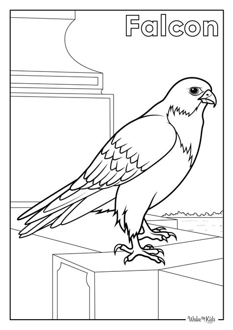 Benefits of Using Falcon Colouring Pages