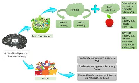 Benefits of Using Food Models