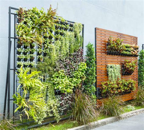 Transforming Urban Spaces with Vertical Garden Design