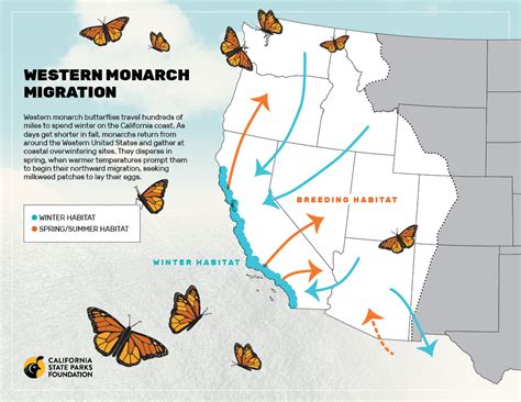 Monarch Butterfly Map