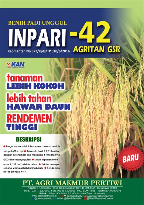 Revolutionizing Rice Farming in Indonesia with GSR Inpari 43 Seed
