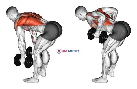 Bent Over Row With Dumbbells