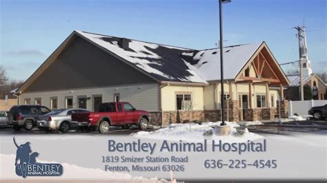 Bentley Animal Hospital: Trusted Veterinary Care in Fenton, MO