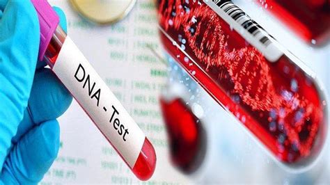 Berapa Harga Cek DNA?
