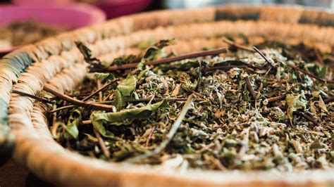 Berber Tea Marrakech