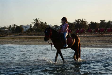 Berber trails Djerba