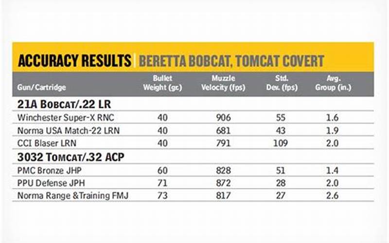 Beretta Tomcat Accuracy