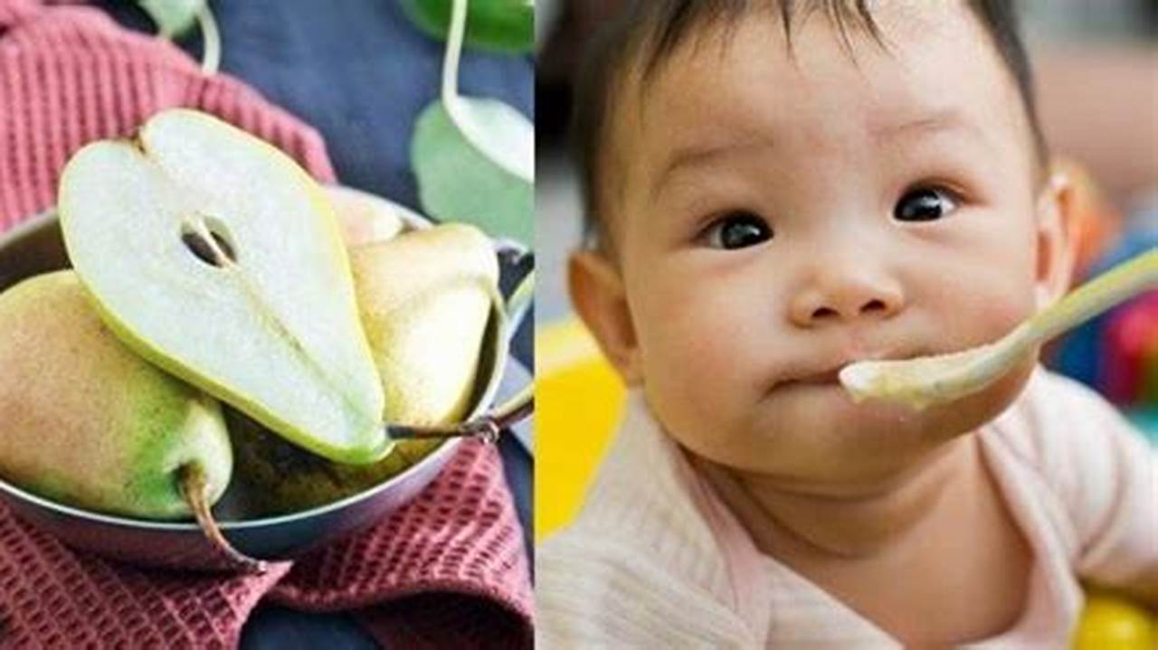 Berikan Pure Buah Pir Untuk Bayi Sebagai Makanan Selingan, Resep6-10k
