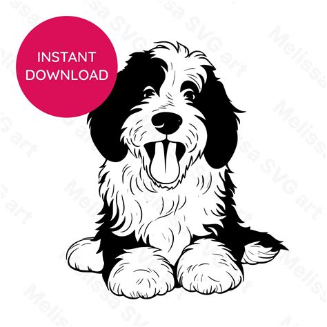 Unleash Your Creativity with Captivating Bernedoodle SVG Designs: Get Crafty with these Tail-Waggingly Adorable Graphics!