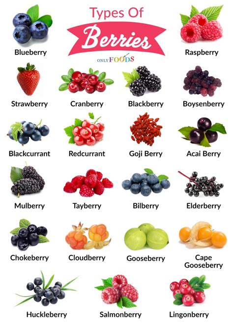 Berry Fruit Family