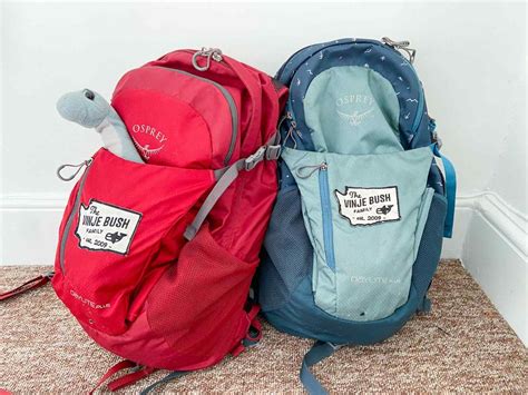 Best Backpacks For Traveling With Kids In 2023