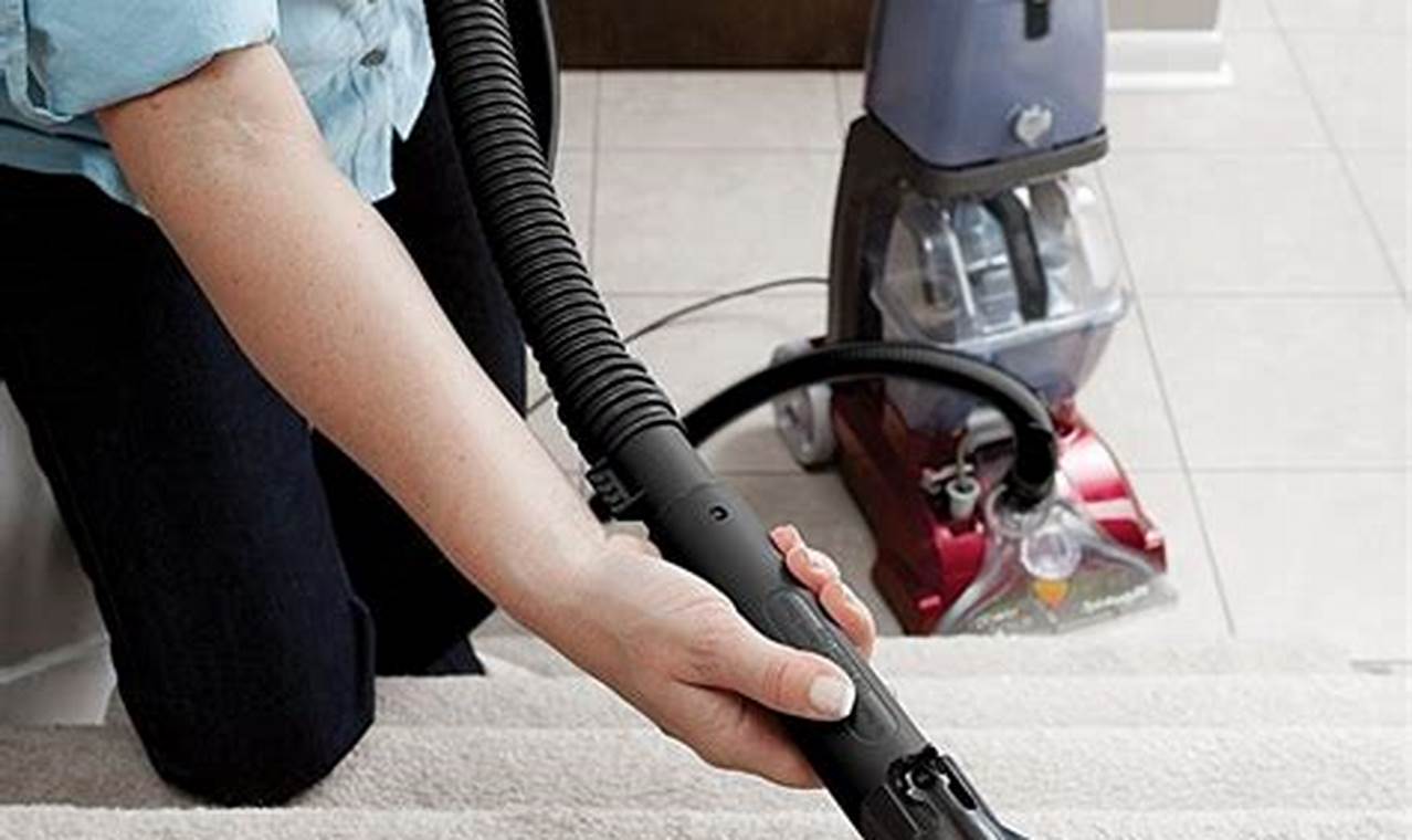 Best Carpet Steam Cleaner 2024