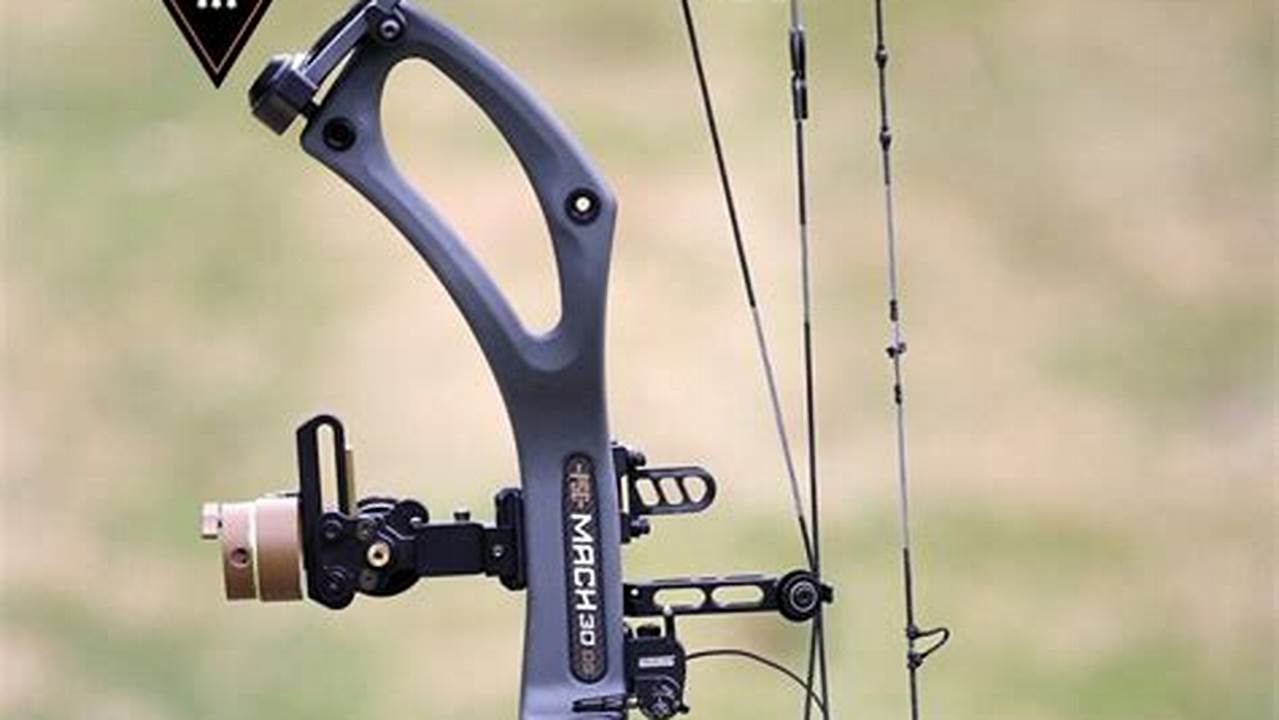 Best Compound Bow 2024