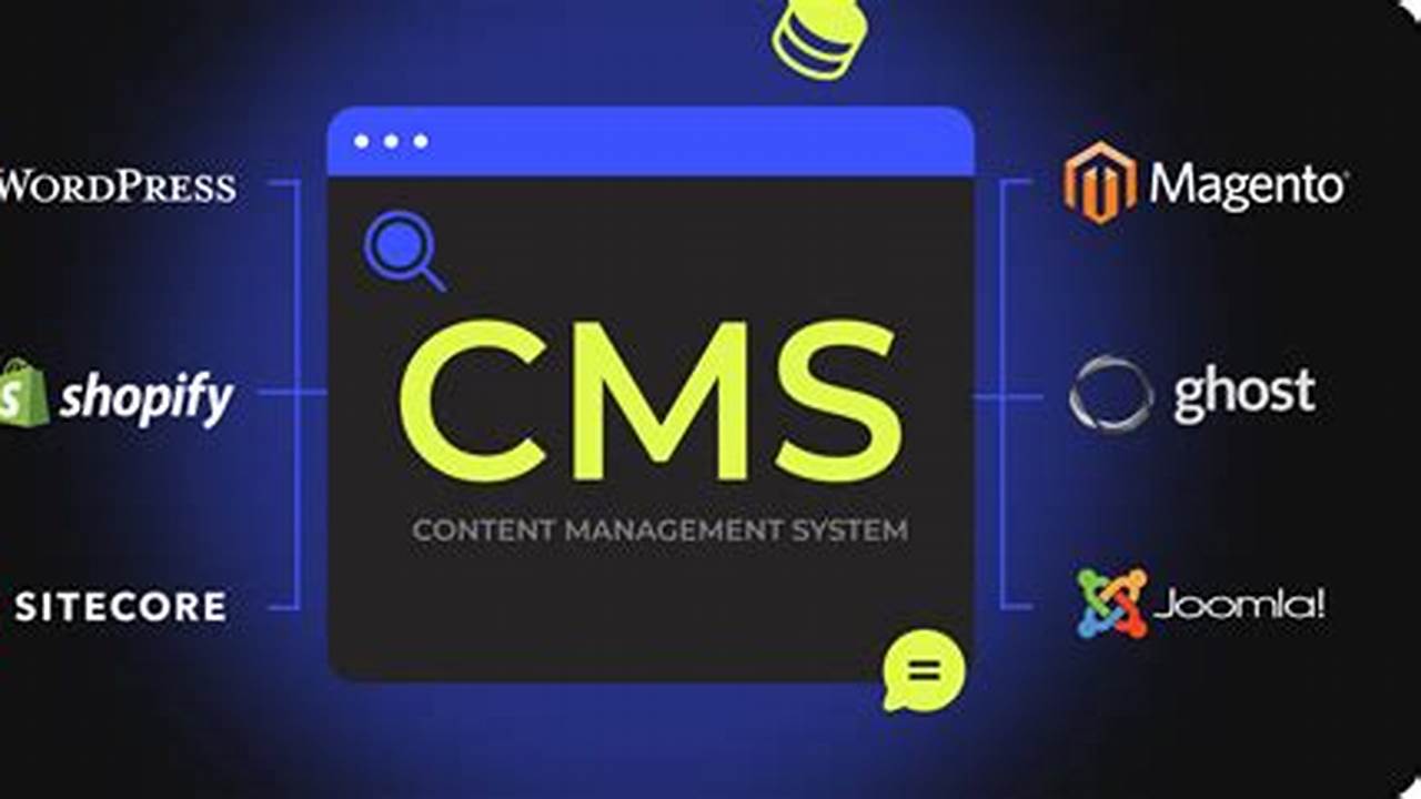 Best Content Management System 2024
