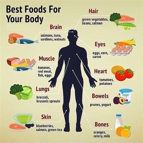 Best Food For Healthy Body